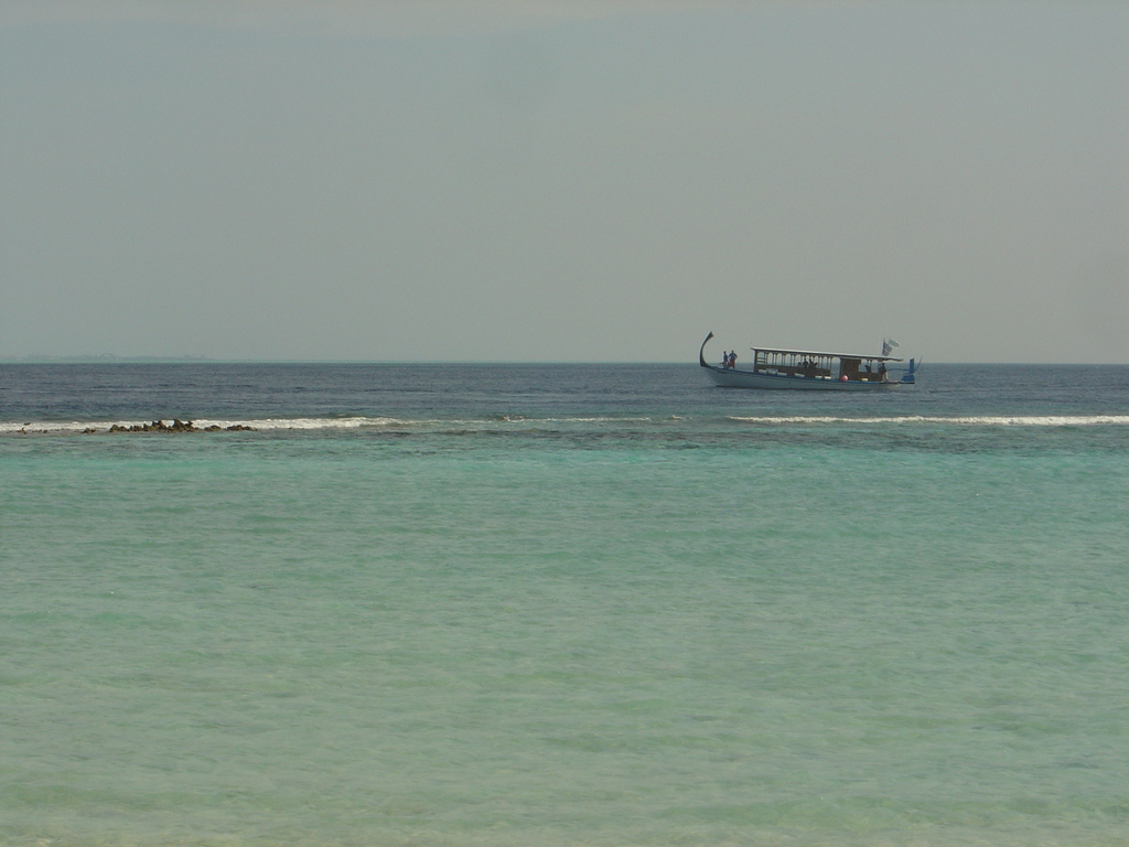 DSC00436.JPG