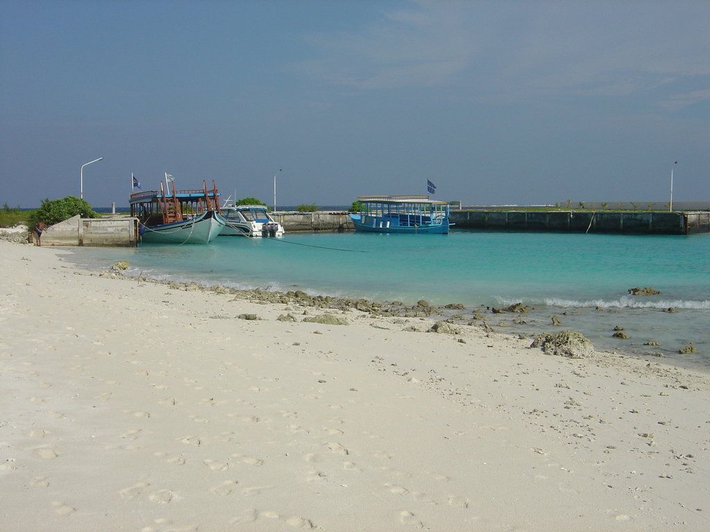 DSC00438.JPG