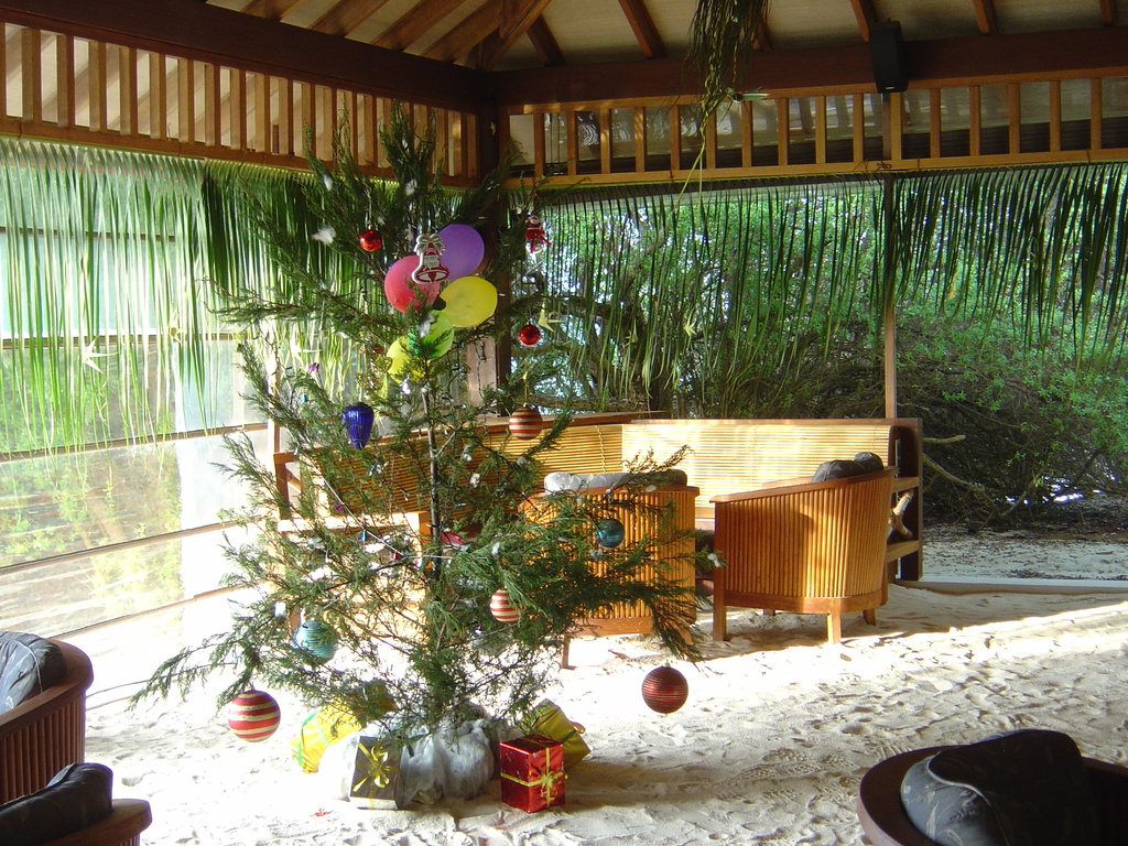 DSC00443.JPG