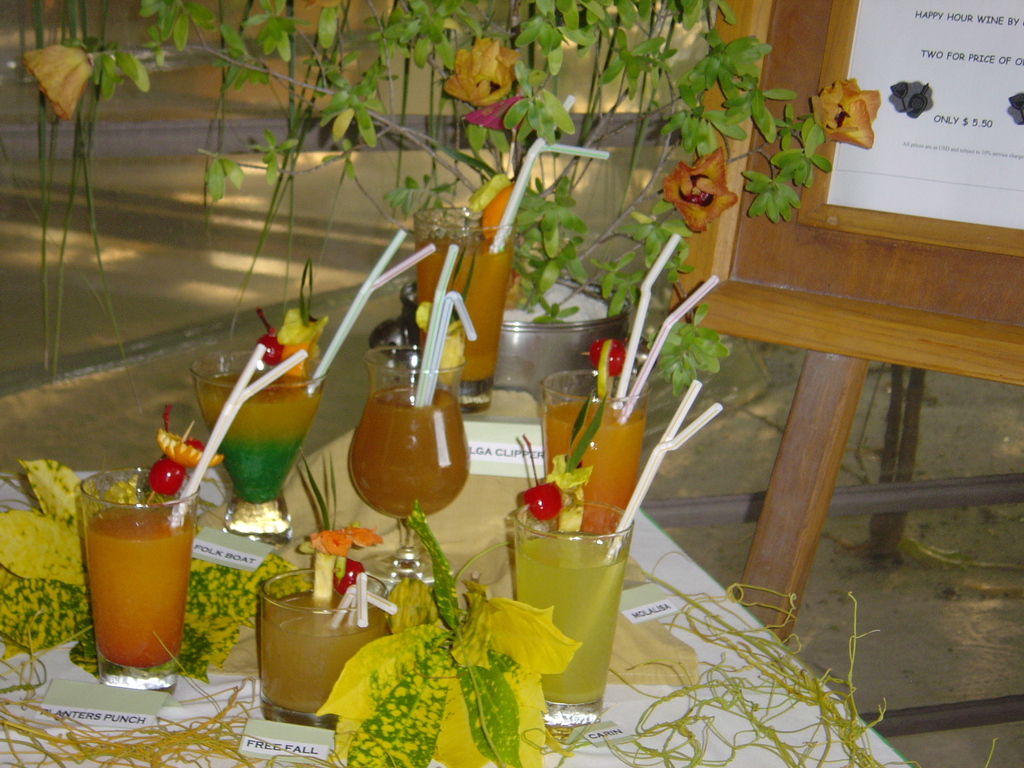 DSC00445.JPG