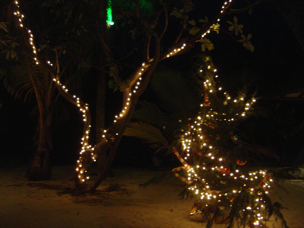 DSC00467.JPG