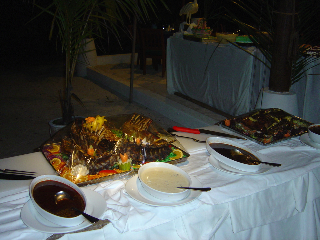 DSC00470.JPG