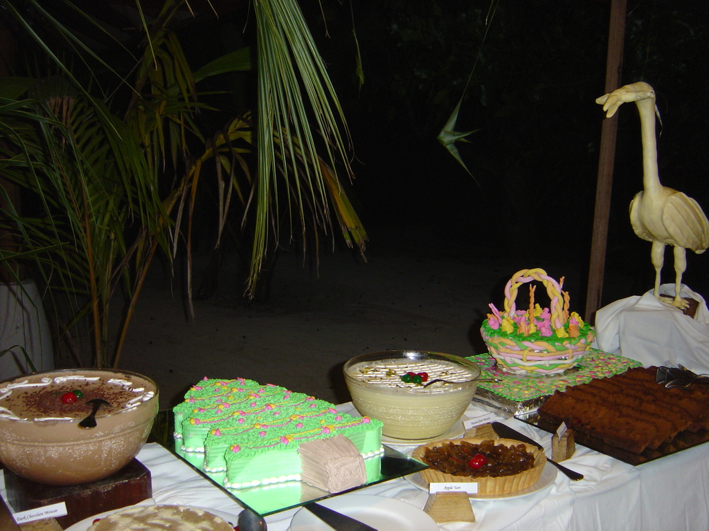DSC00472.JPG