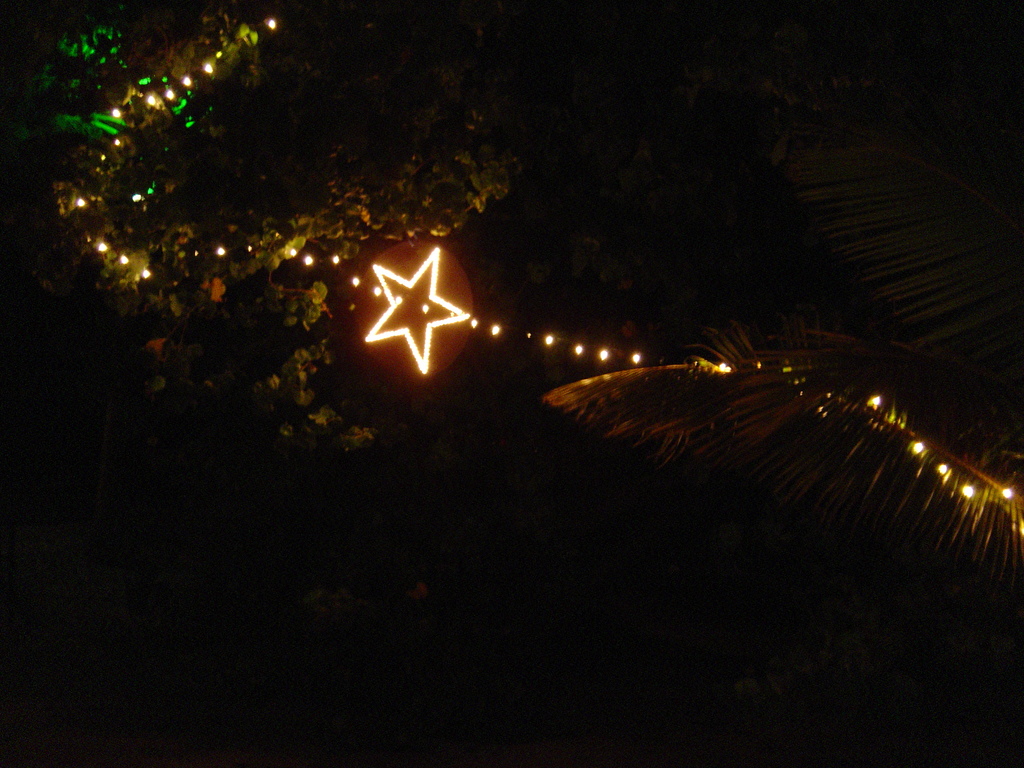 DSC00475.JPG