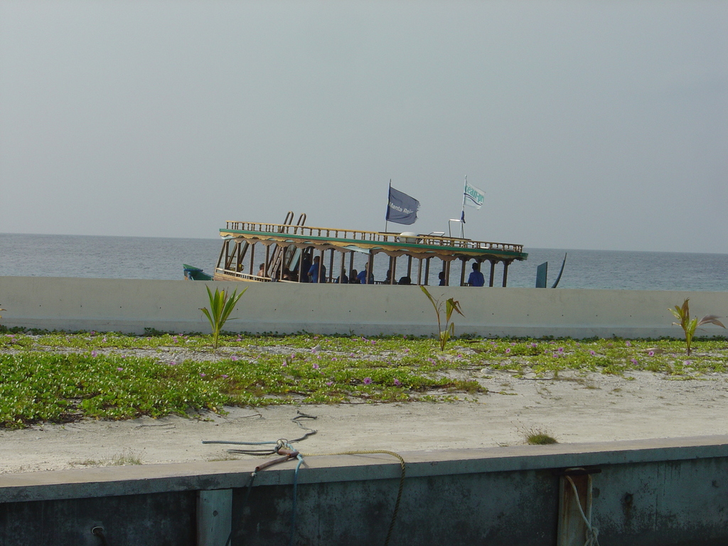 DSC00482.JPG