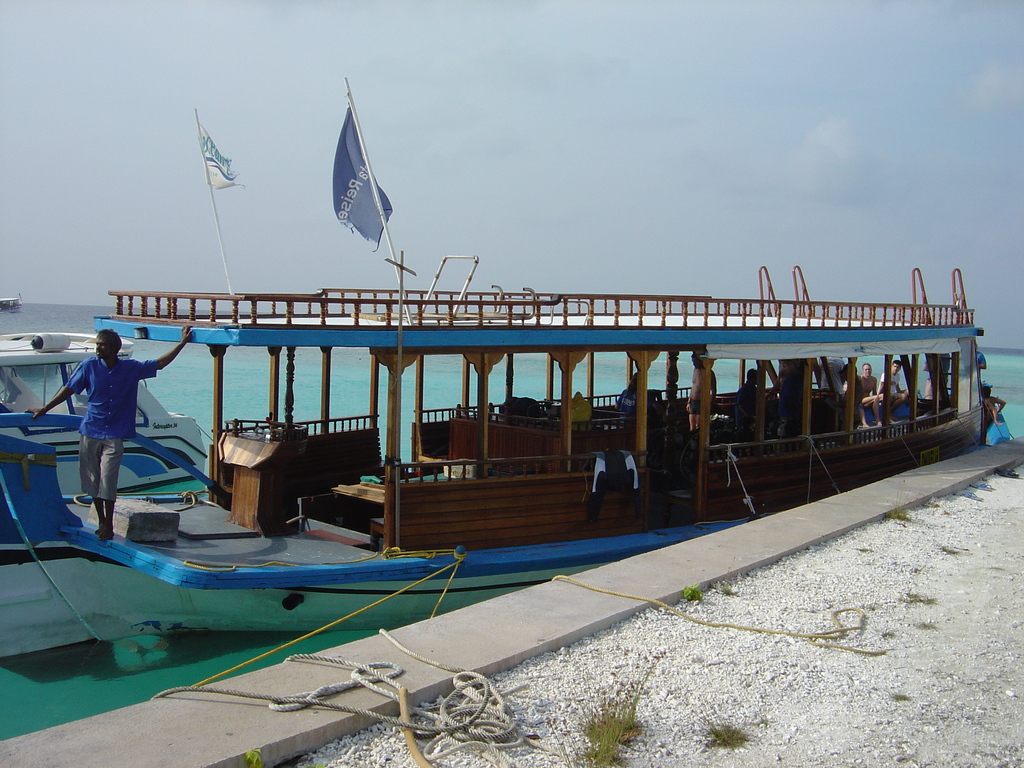 DSC00485.JPG