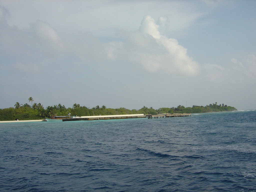 DSC00490.JPG