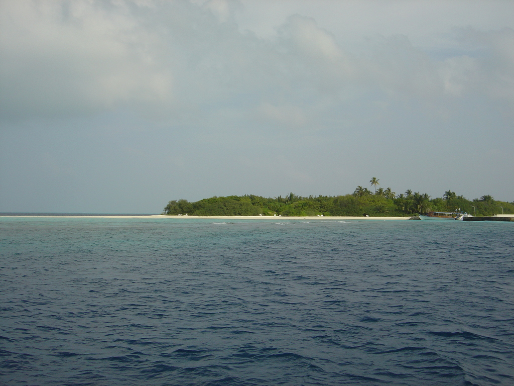 DSC00491.JPG