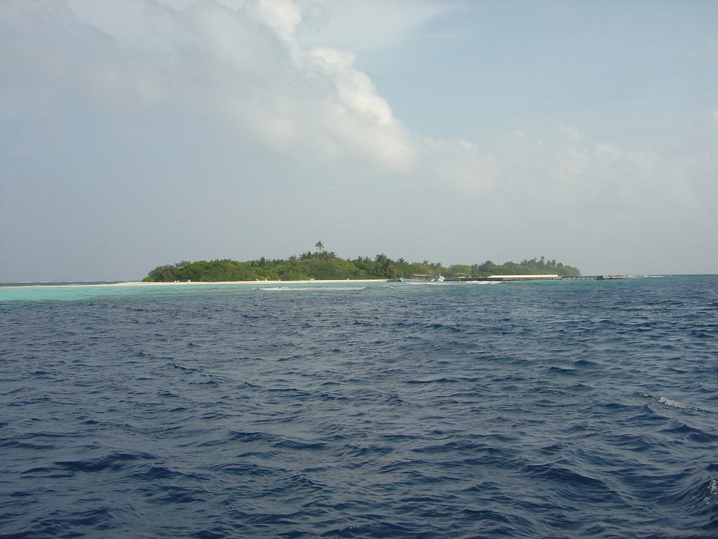 DSC00492.JPG
