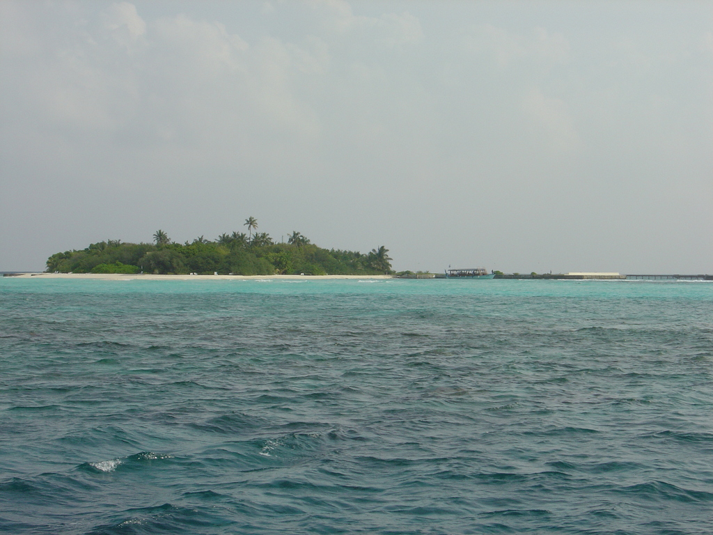 DSC00494.JPG