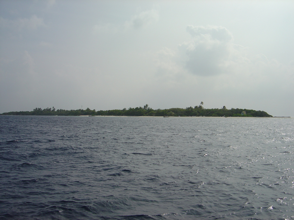 DSC00499.JPG