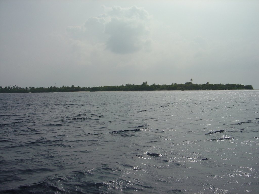 DSC00500.JPG