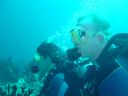 Filename=DSC00026.JPG
Filesize=379KiB
Dimensions=1024x768
Date added=Aug 05, 2014 DSC00026.JPG