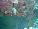 Filename=DSC00030.JPG
Filesize=451KiB
Dimensions=1024x768
Date added=Aug 05, 2014 DSC00030.JPG
