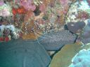 Filename=DSC00031.JPG
Filesize=504KiB
Dimensions=1024x768
Date added=Aug 05, 2014 DSC00031.JPG