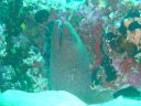 Filename=DSC00039.JPG
Filesize=497KiB
Dimensions=1024x768
Date added=Aug 05, 2014 DSC00039.JPG