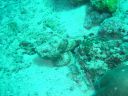 Filename=DSC00043.JPG
Filesize=500KiB
Dimensions=1024x768
Date added=Aug 05, 2014 DSC00043.JPG
