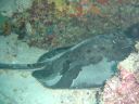 DSC00104.JPG