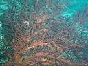 DSC00105.JPG