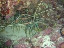 DSC00118.JPG