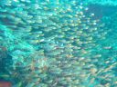 DSC00128.JPG