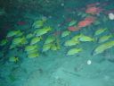 DSC00142.JPG