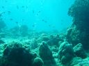 DSC00150.JPG