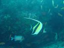 DSC00152.JPG