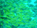 DSC00157.JPG