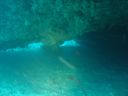 DSC00168.JPG