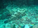 DSC00169.JPG