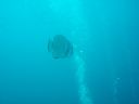 DSC00178.JPG