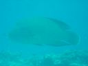 DSC00185.JPG