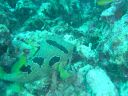Dateiname=DSC00212.JPG
Dateigröße=528KB
Abmessungen: 1024x768
hinzugefügt am: 05. August 2014 DSC00212.JPG