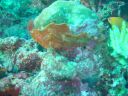 Dateiname=DSC00214.JPG
Dateigröße=477KB
Abmessungen: 1024x768
hinzugefügt am: 05. August 2014 DSC00214.JPG