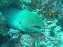 Dateiname=DSC00239.JPG
Dateigröße=525KB
Abmessungen: 1024x768
hinzugefügt am: 05. August 2014 DSC00239.JPG