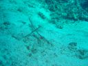 Dateiname=DSC00245.JPG
Dateigröße=507KB
Abmessungen: 1024x768
hinzugefügt am: 05. August 2014 DSC00245.JPG