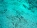 Dateiname=DSC00246.JPG
Dateigröße=457KB
Abmessungen: 1024x768
hinzugefügt am: 05. August 2014 DSC00246.JPG