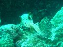 Dateiname=DSC00271.JPG
Dateigröße=506KB
Abmessungen: 1024x768
hinzugefügt am: 05. August 2014 DSC00271.JPG