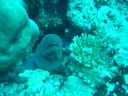 DSC00275.JPG