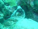 DSC00283.JPG