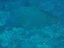 DSC00312.JPG