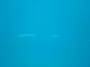 DSC00321.JPG