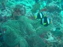 DSC00326.JPG