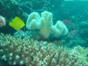 DSC00329.JPG