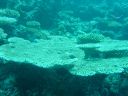 DSC00331.JPG