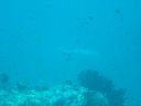 DSC00332.JPG