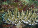 DSC00344.JPG