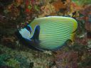 DSC00345.JPG