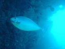 DSC00354.JPG